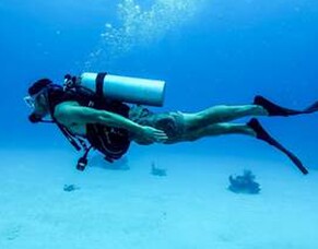 Fungal Ear Infections